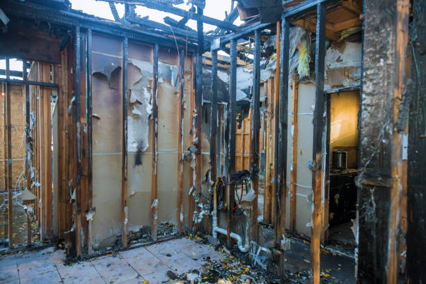 Professional Fire Damage Assessment technician working in Chadwicks, NY